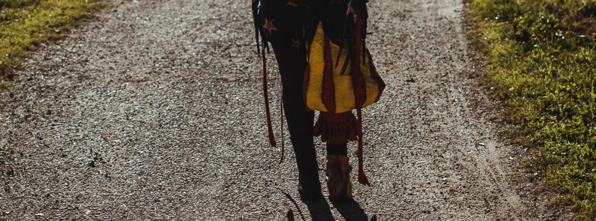 Cosplayeuse depuis 2020, spécialisée dans le fait main et les concours. Je possède aussi une petite expérience en jury. N'hésitez pas à me contacter pour travailler avec moi !